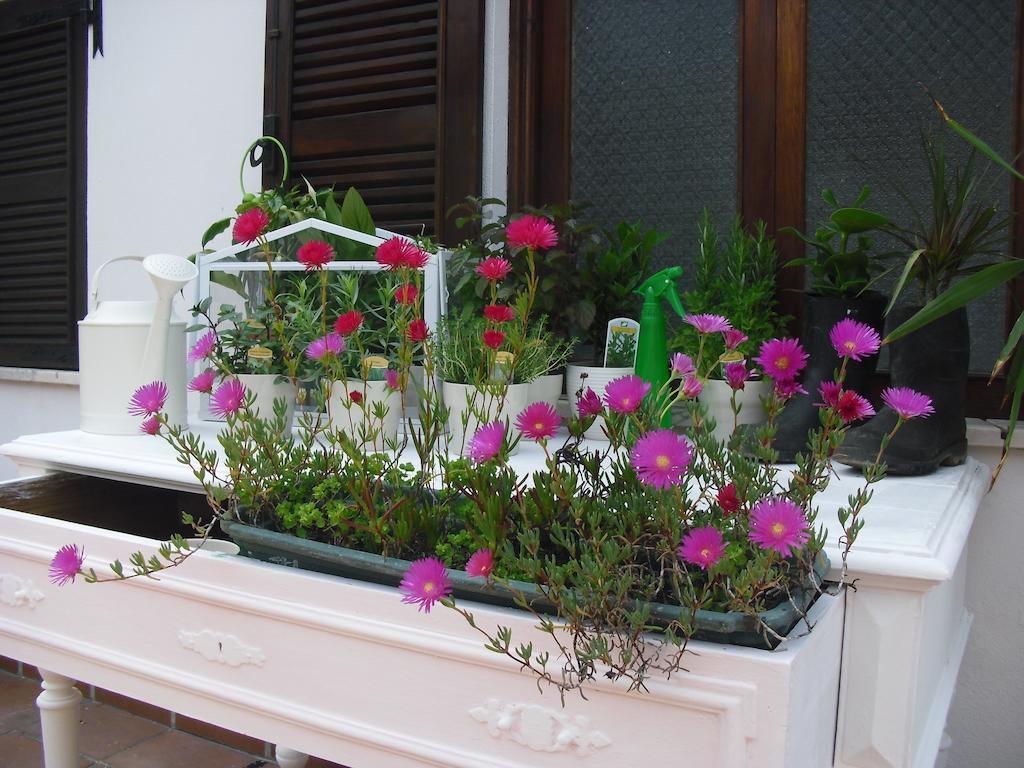 Geres Albergue Porto